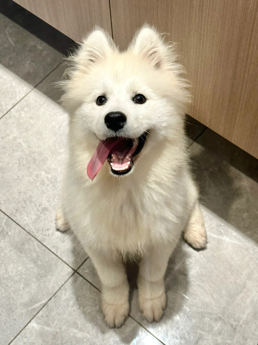 早上不上班的你