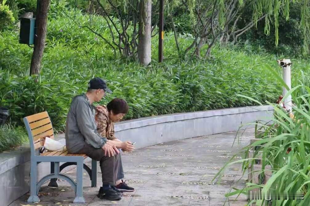 老年人管好嘴少说话才不惹是非
 
人到了晚年，最好的养生是养心，最高的智慧是守嘴