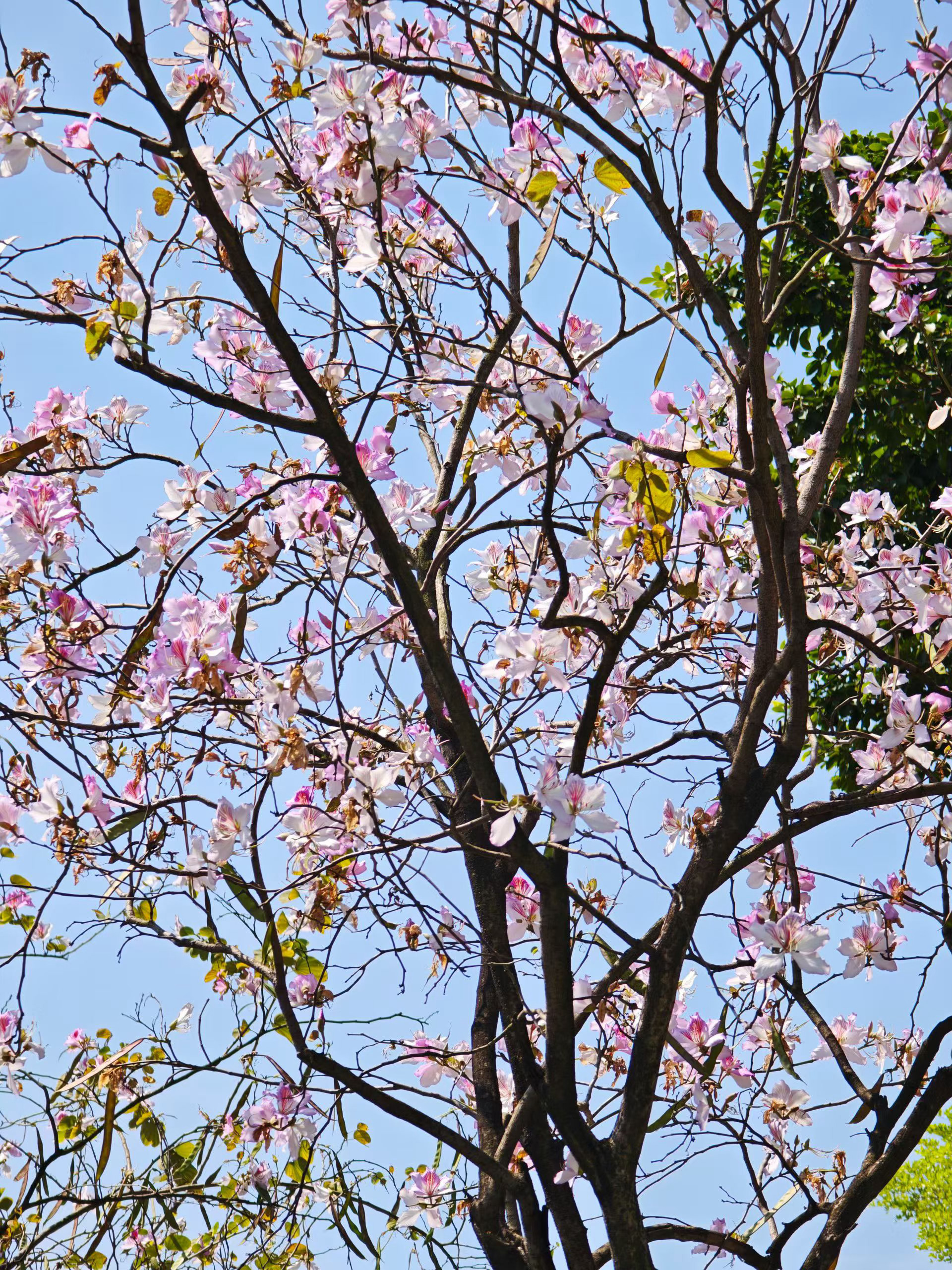 随手拍天气这么好，却要在搬砖 