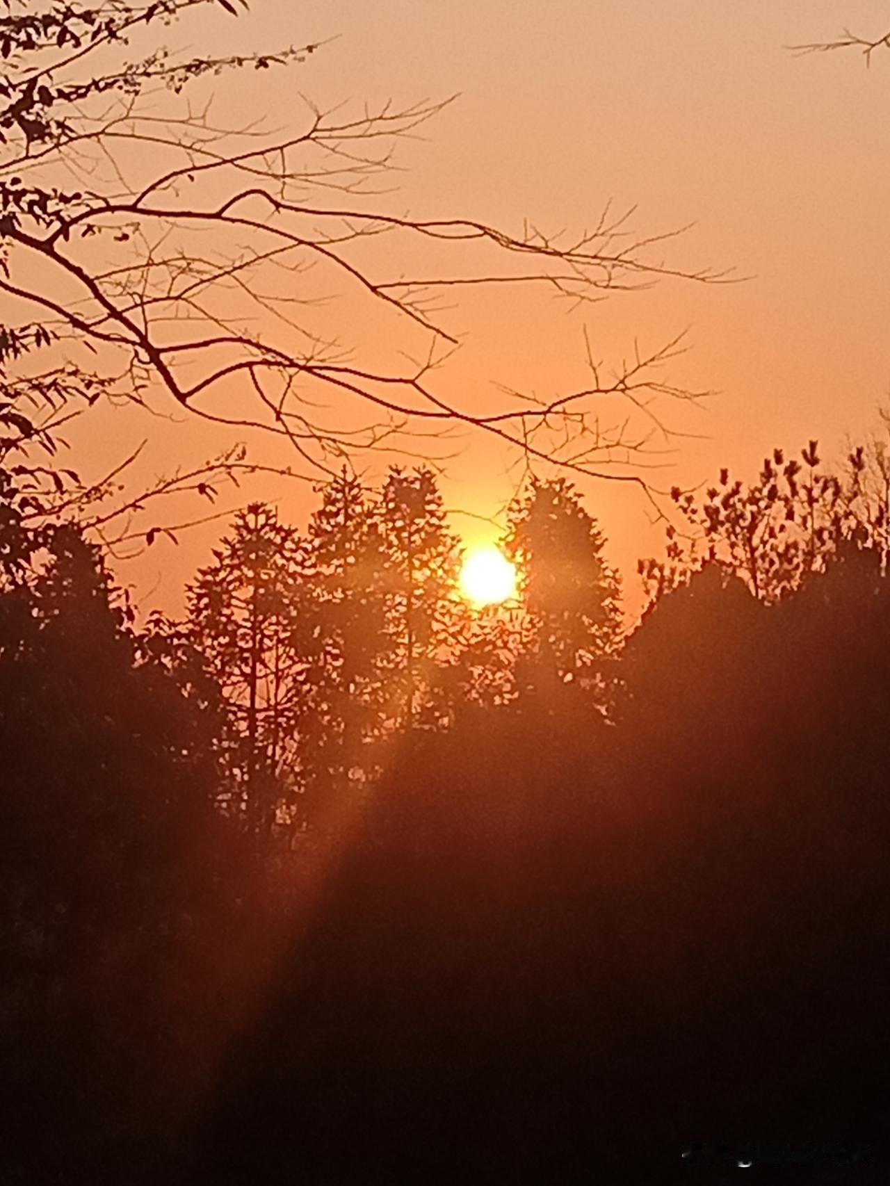 平时，我特爱看湖北台的相亲节目《桃花朵朵开》，发现有七、八十岁左右的老人都还在参
