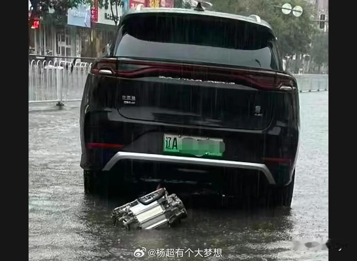 比亚迪唐生了，母子平安