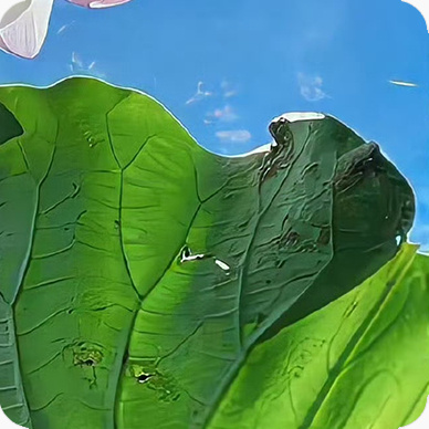 每日一善阳光信用｜每日一善生活，宛如一首悠扬的旋律。我们在四季更迭中感受岁月变迁