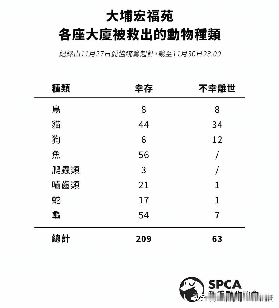 香港政府确实细心，宏福苑大火不但竭尽全力救人，连这些居民家中的养的小宠物也一起救