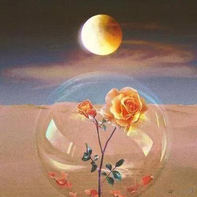 一位情感学家曾抛出这样一番尖锐的言论：“一个男人如果得不到这个女人的身体，他就不