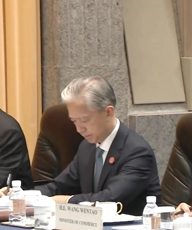 汪文斌  今日新闻联播中，汪大使陪同会见的相关镜头部分