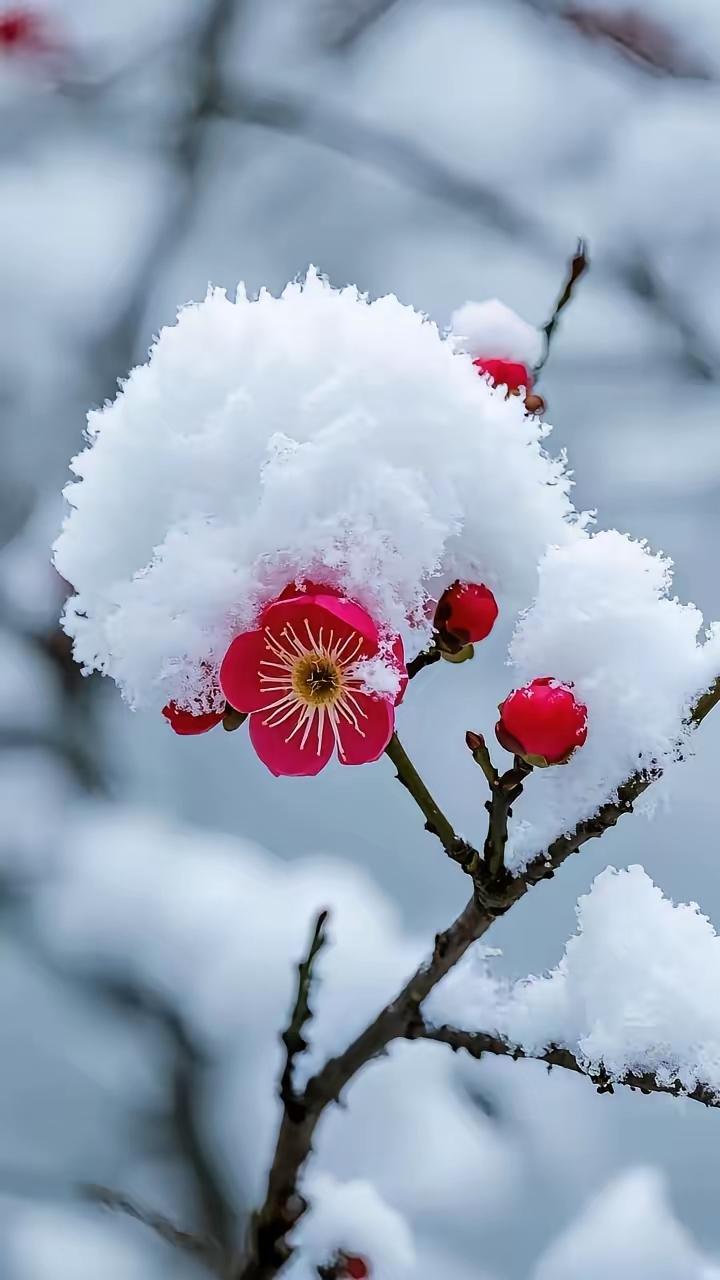 很多人都觉得，有些团队之所以成功，是因为有运气。
其实，一帆风顺的运气是极少的，