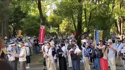 日本反政府集会呼吁政府下台，主办方称参与者达 2.5 万人

据俄罗斯卫星通讯社