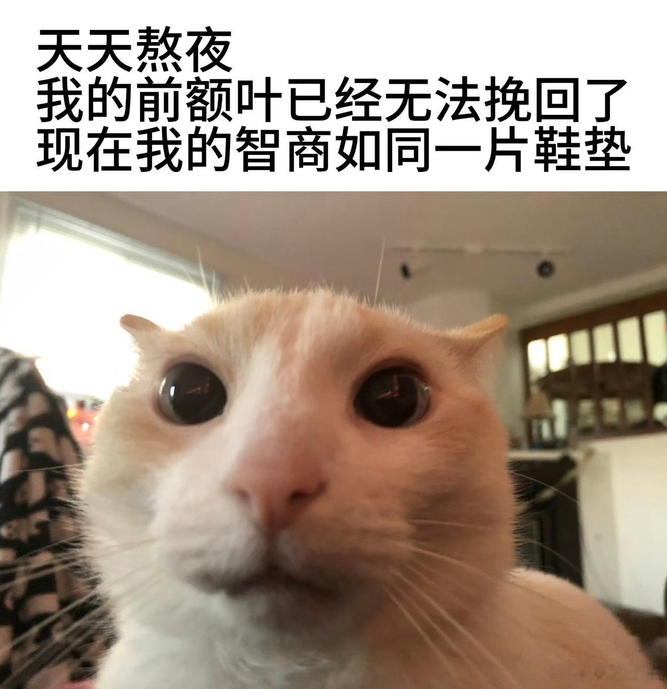 熬夜时最恐怖的事我是听到窗外传来收垃圾车声音的时候，我就知道完了，熬穿了……规律
