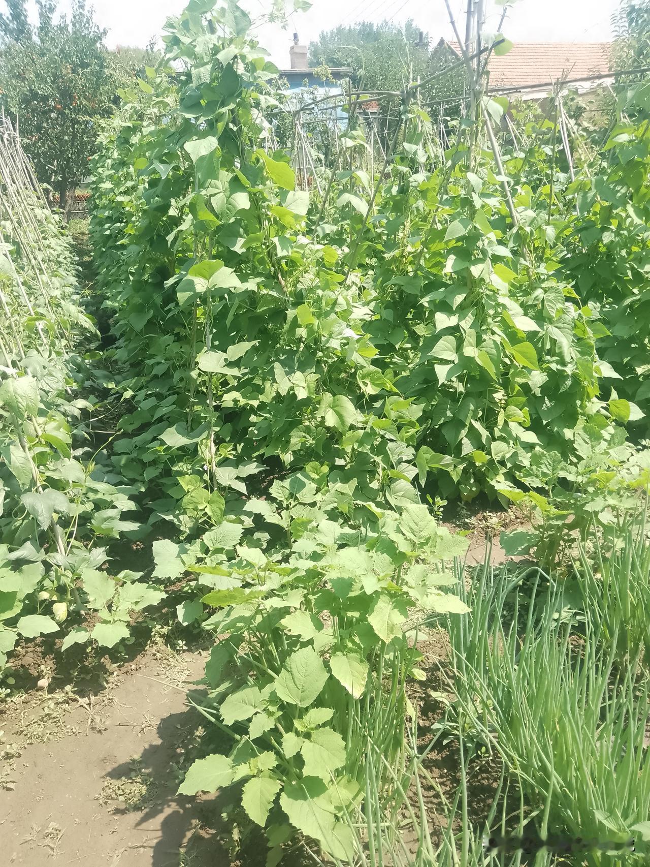 中国那些隐藏的战略手段！
有时在头条上批评有些政策，有时批评国际政治，其实，中国