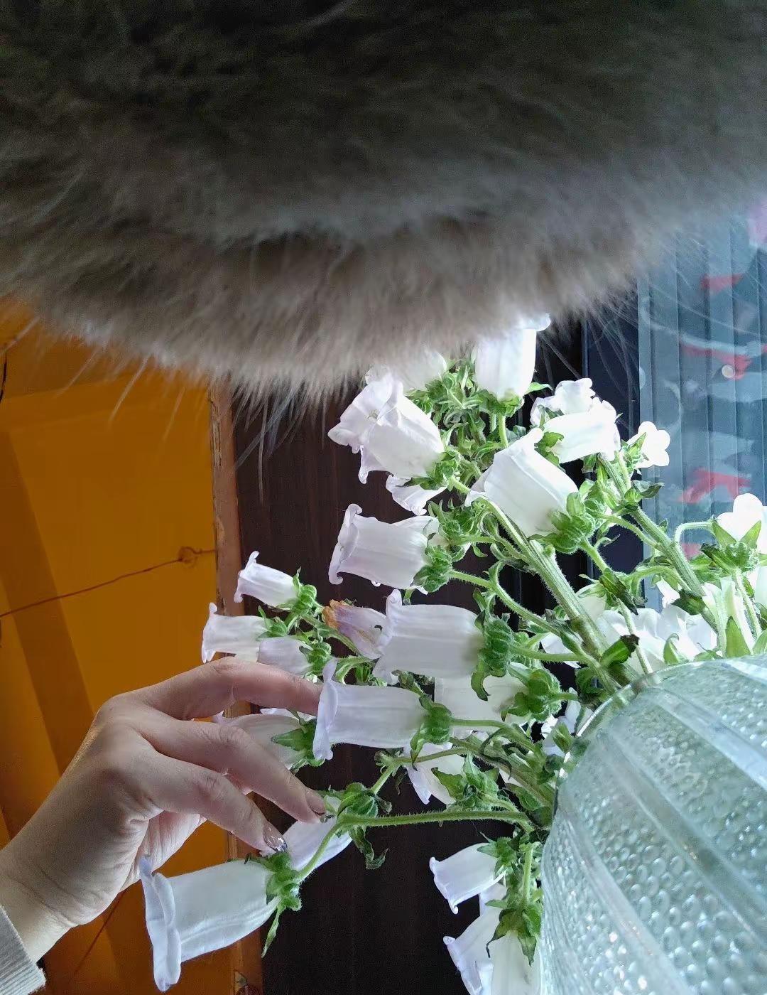 2026年，慢下来，看世界 生活与我