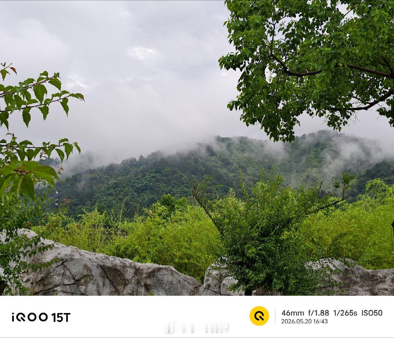 雨后的山景太美了，云雾绕着山峦，那种朦胧又清新的感觉，真的像仙境一样。多亏了iQ