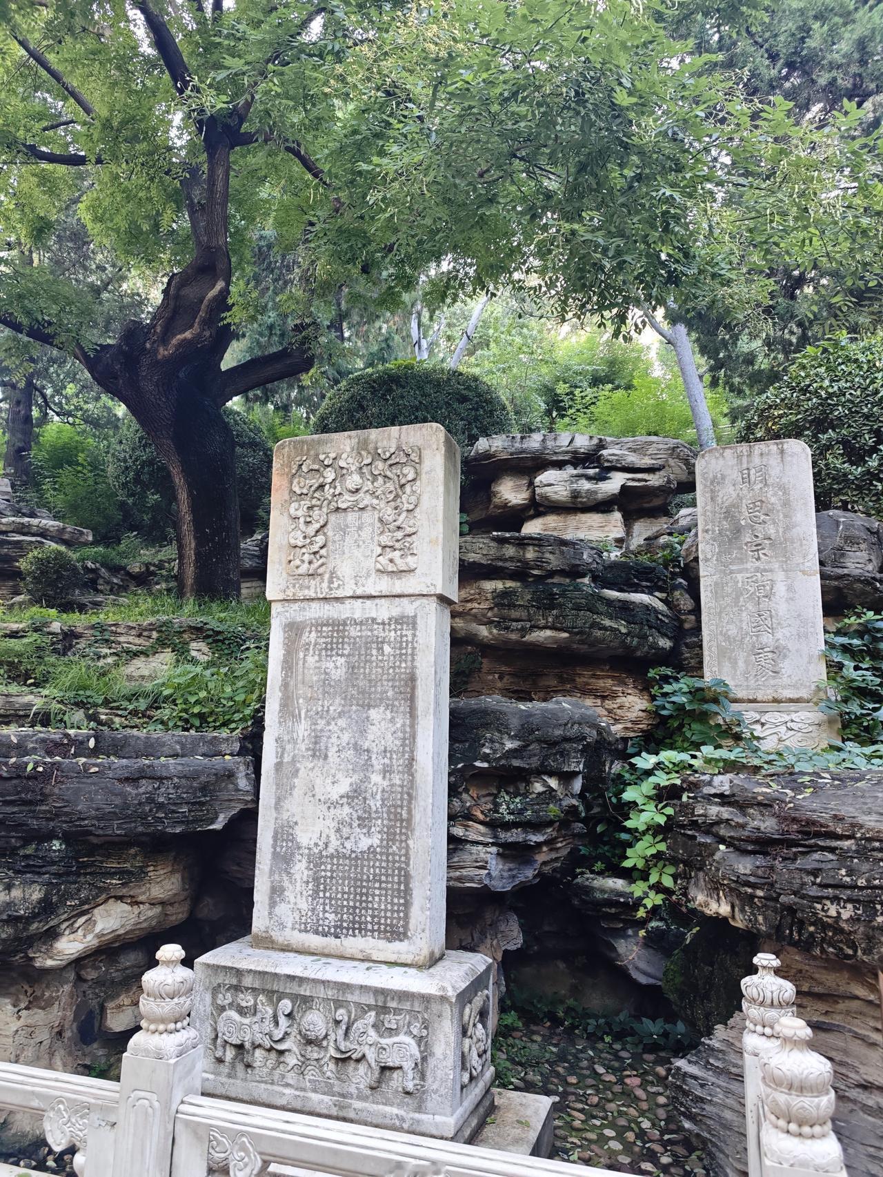 一代帝王含恨上吊于此树，大家都知道他是谁吗？