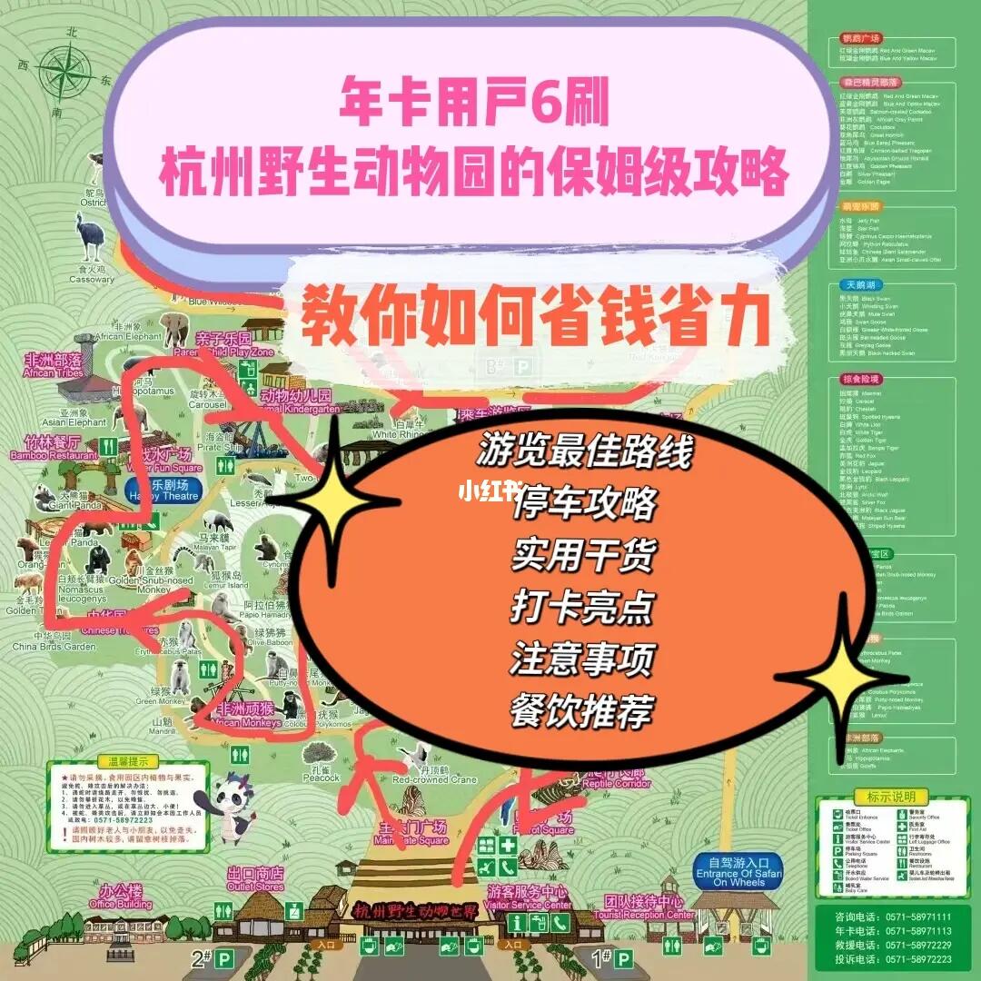 杭州溜娃/不走回头路的野生动物世界攻略