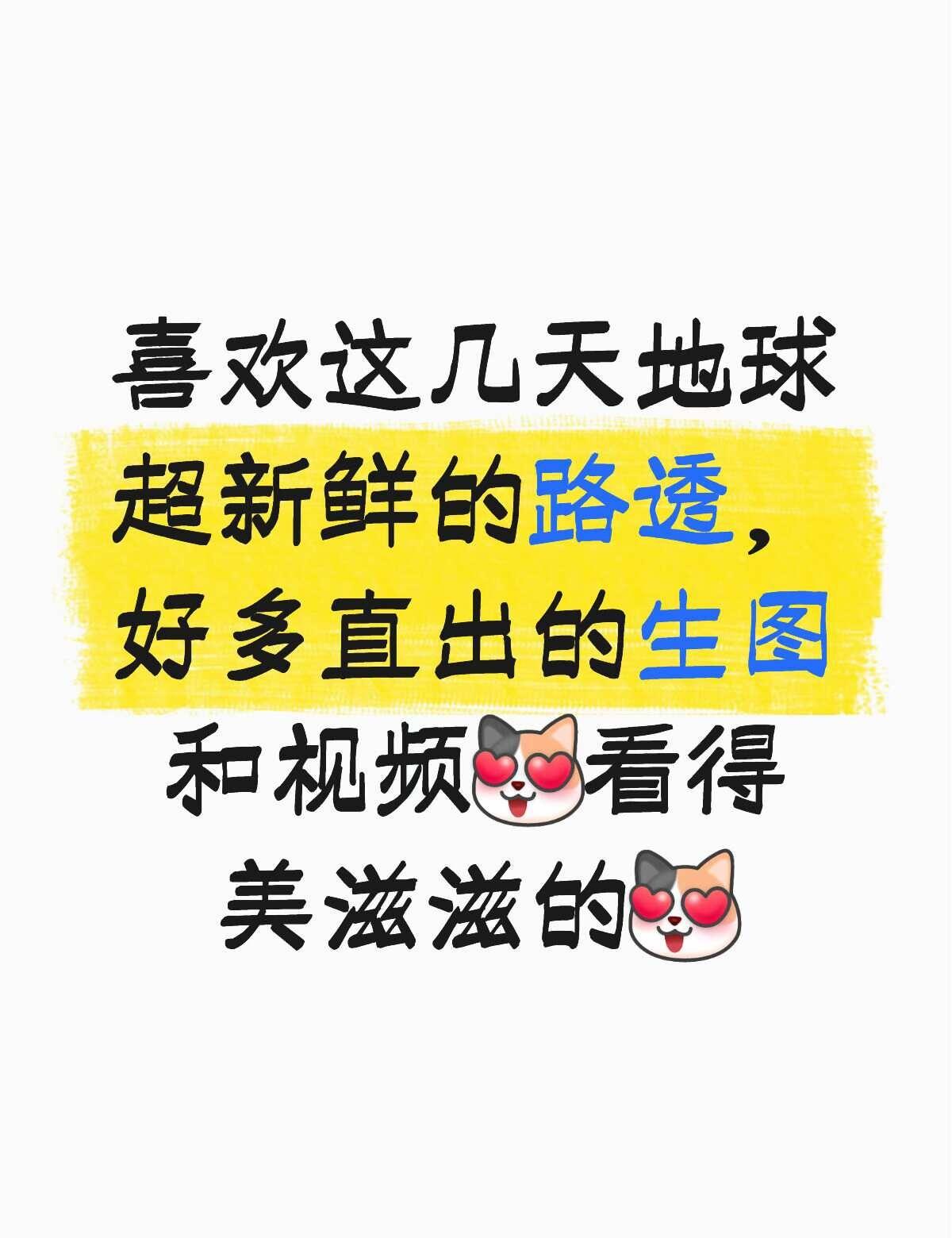 嘻嘻🤩
地球超新鲜 龚俊 龚俊陆小凤