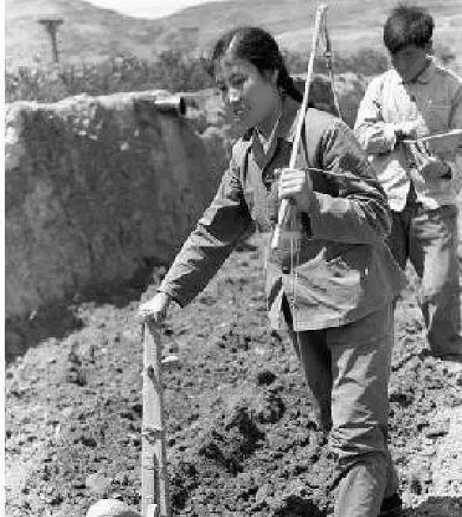 大寨为了落实分田单干的政策，将大队书记郭凤莲调走去了公路道班，后续分田单干顺利进