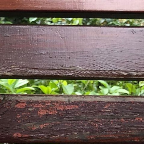 浣溪沙[清] 王国维掩卷平生有百端。饱更忧患转冥顽。偶听鹈鴂怨春残。 坐觉亡何消