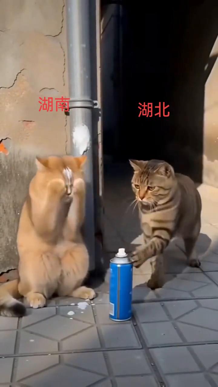 湖南，湖北。