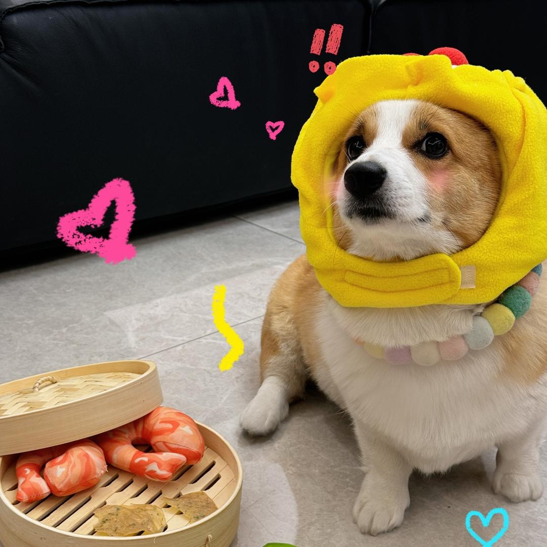 成廉论萌宠