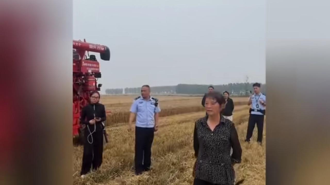 这些人代表谁？处理什么问题？结果怎么样？为什么贪得无厌的人总会得到，而老实的人却