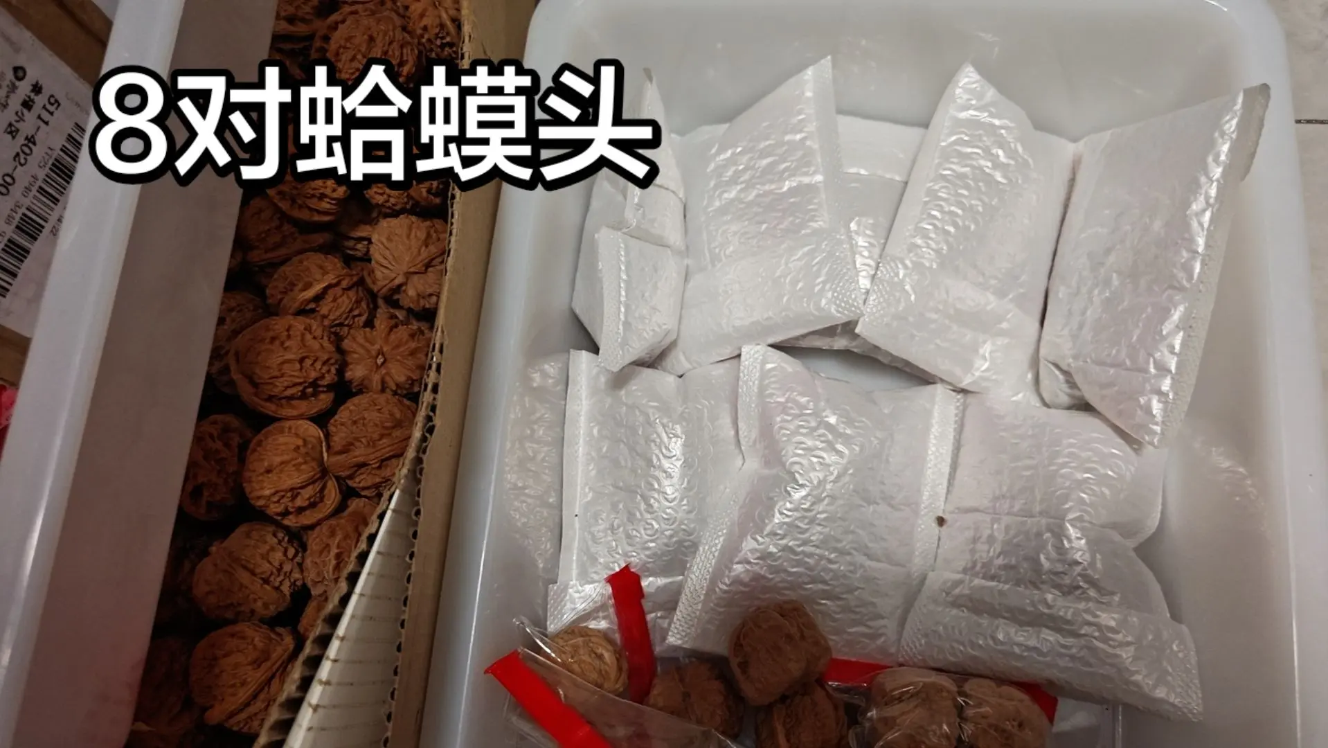 领养蛤蟆头。8对再领不到，我也没有办法，没有蛤蟆头的散籽，蛤蟆头比较热门。