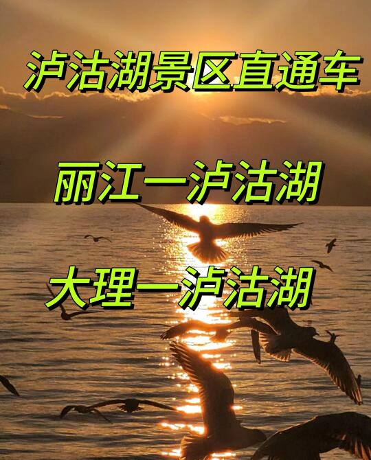 泸沽湖景区商务直通车
