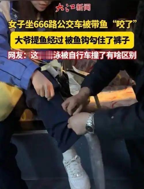 人在公交车上被带鱼“咬”的概率不是零？这事儿听着比中彩票还离谱，但南京666路公