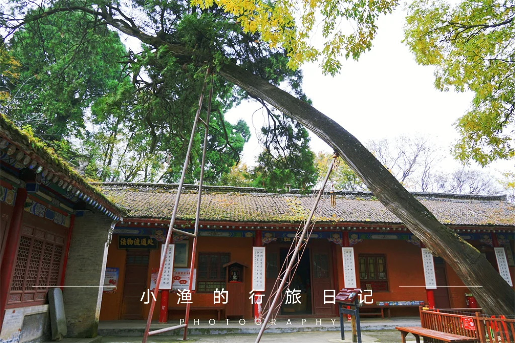 秦岭神仙古寺📷中国最早寺庙之一🍂超仙