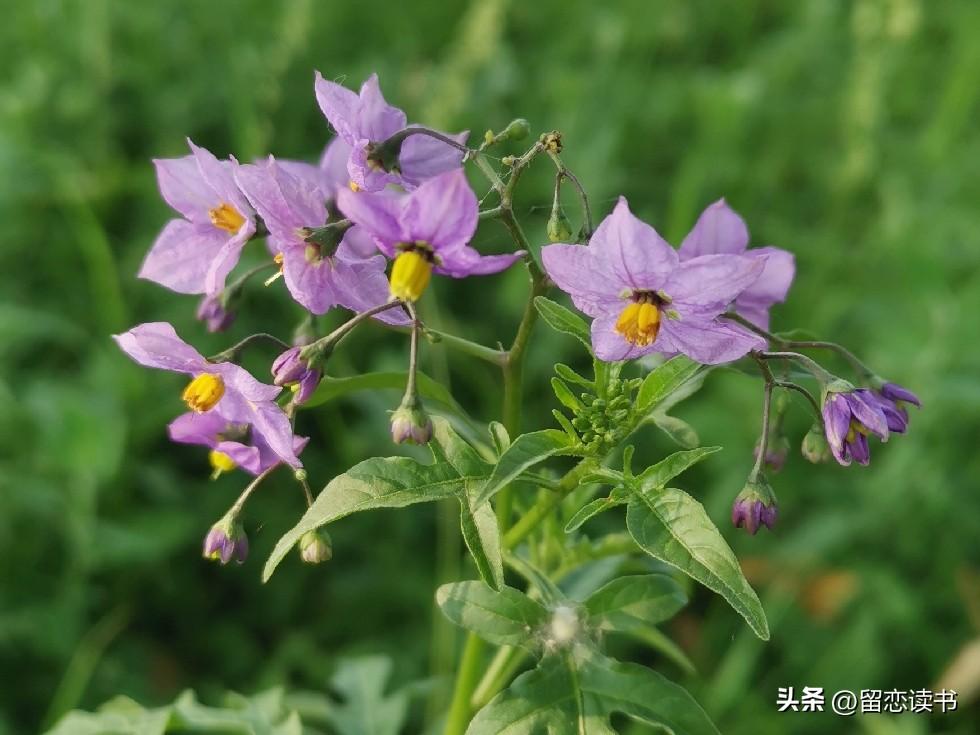 好多婆婆都很纳闷，明明自己对儿媳妇那么好，最后却变得像仇人了，原因就这四点：
一