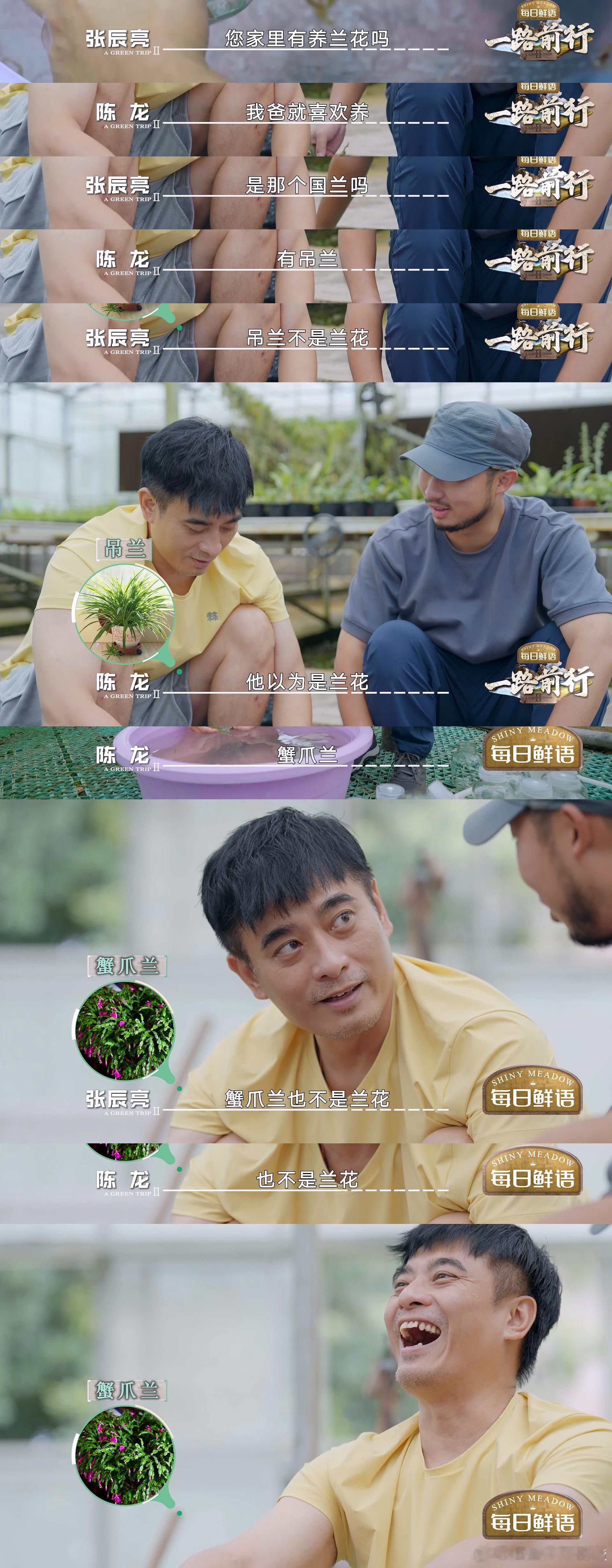 胡歌三个问题劝退朋友  原来拒绝也能这么有水平！胡歌用“吊兰是兰花吗”等问题，让