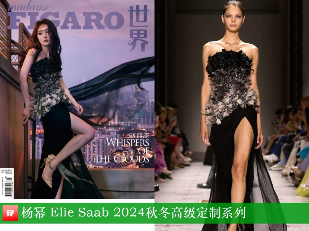 杨幂、关晓彤、刘亦菲、邓为 | Elie Saab