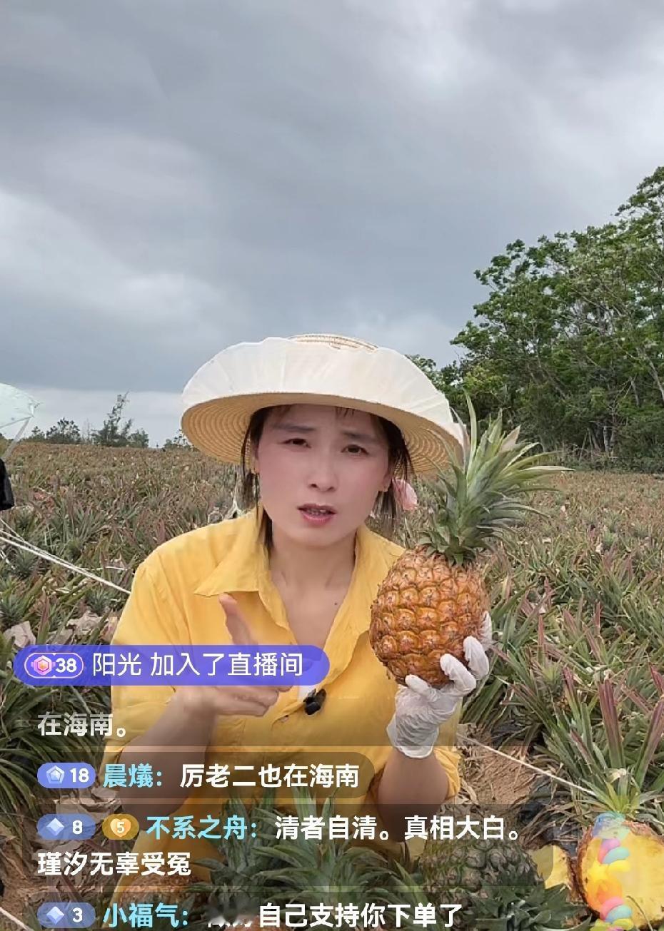 瑾汐终于清白了，厉怀远的出轨对象已经被林丽发现了，过年的前一天发现的名字叫娟娟。