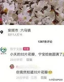 “星莲”丢人丢到家了“给小夭的32瓣桃花”国人都知道啊，镇宁文旅“小夭的32片花