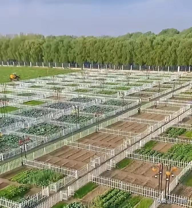 绿意盎然的春季里，在郊区，在有山有水有野趣的地方，打造一个“城里套路深我要回农村