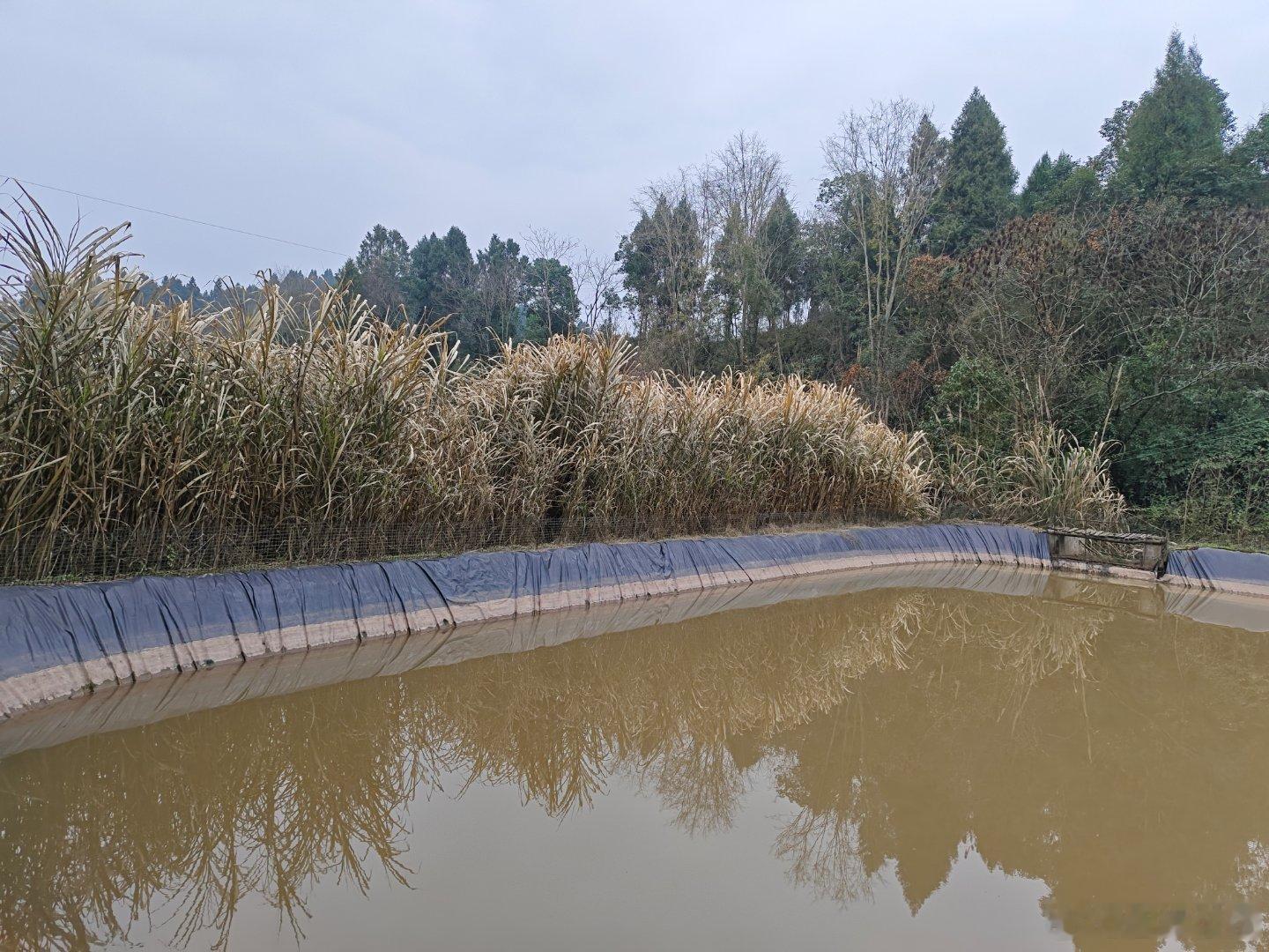 很多人都进城了，去淘金， 去学习，去迷失，去懒惰，去建设，去消费，去制造拥挤又为