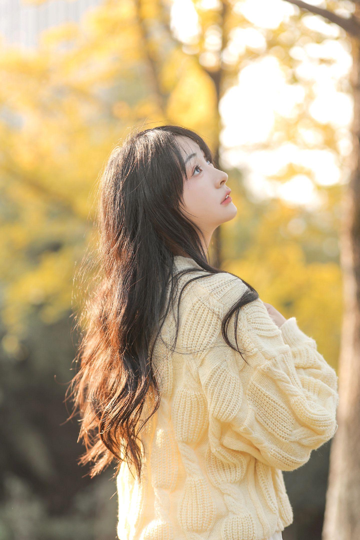 又是一个银杏的秋～