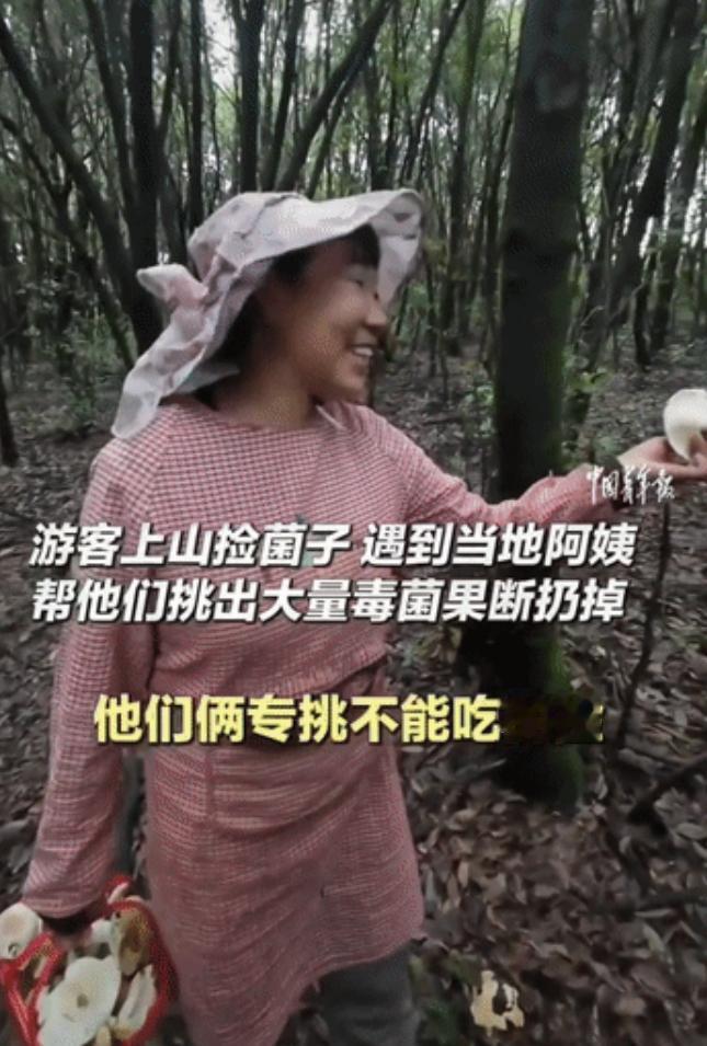 云南游客上山捡一篮子菌子，偶遇当地阿姨帮忙挑拣，阿姨边笑边扔光：“你俩怎么专挑不