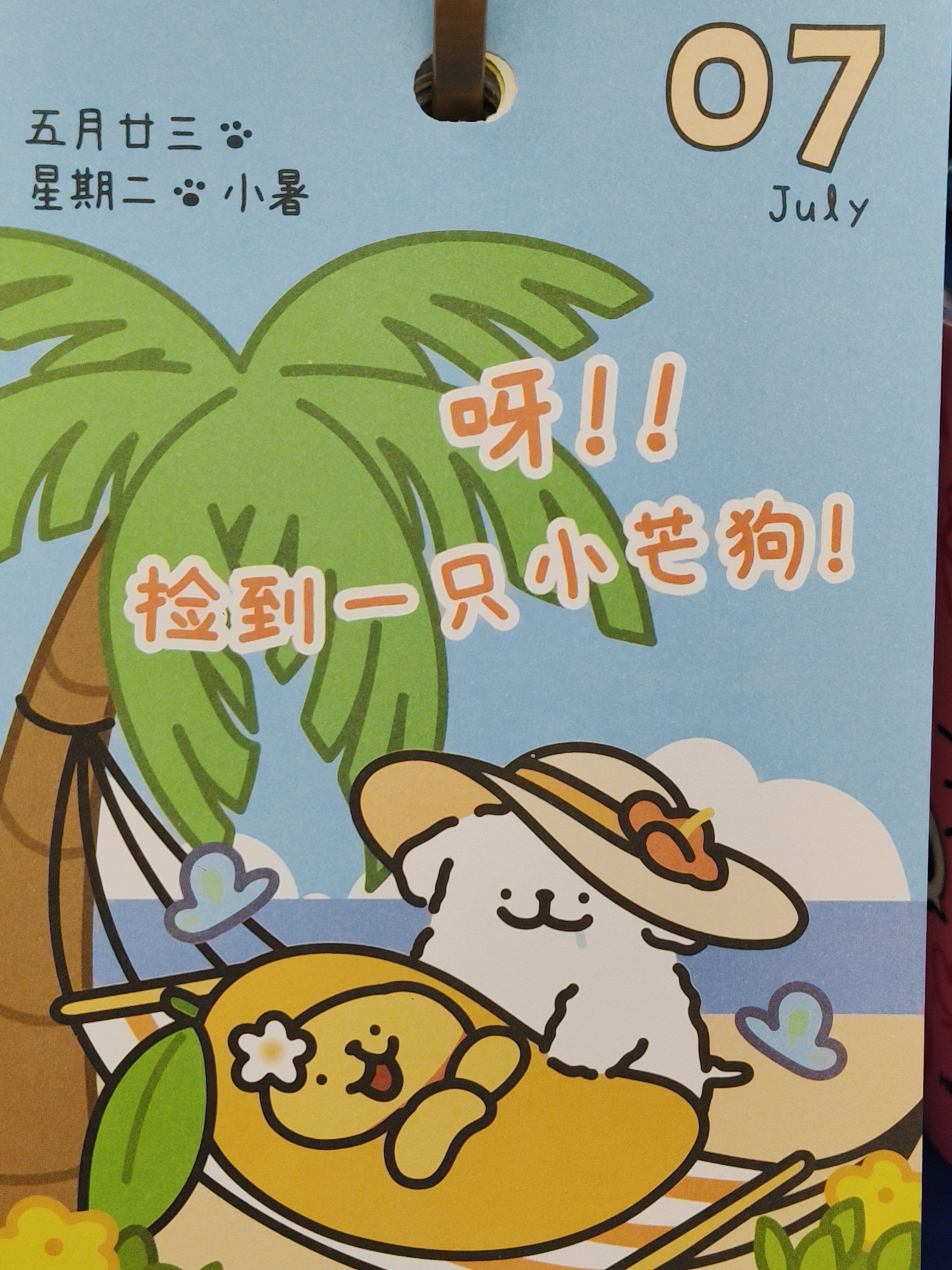 lucky的碎言碎语