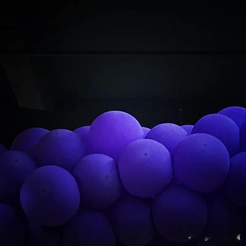 立陶宛进入“国家紧急状态” 立陶宛宣布全国进入紧急状态，理由是白俄罗斯“走私气球