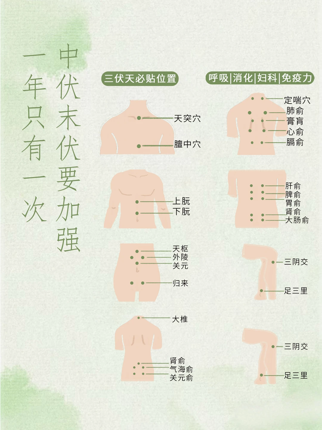 中伏来了。关键20天 。7月25号开始第二次机会