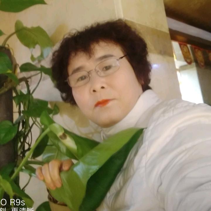 老洪在这