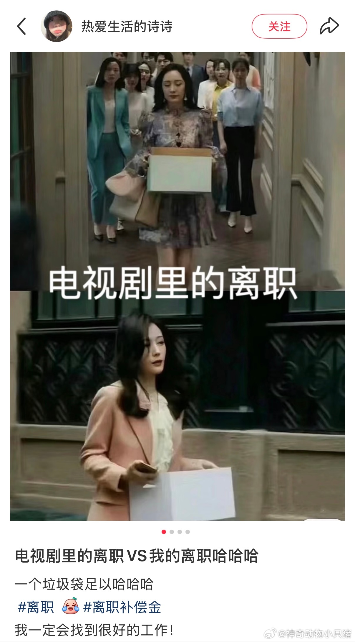 电视剧里的离职VS真正的离职[喵喵] ​​​