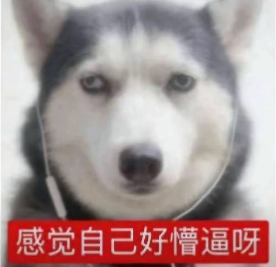 骂得又不是你拉黑个集贸啊 ​​​