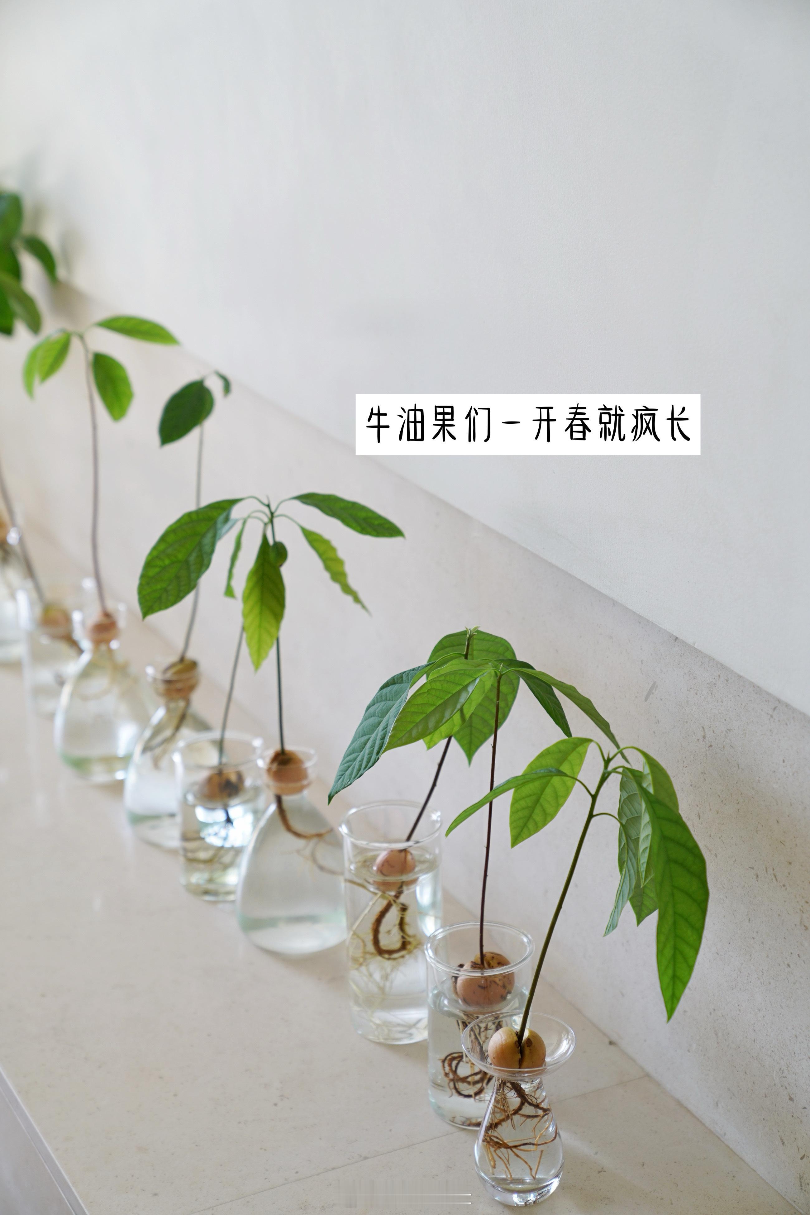 小小日常❤️ ​​​
