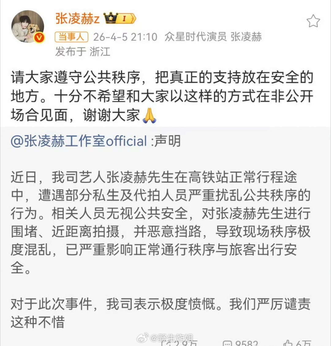 张凌赫的工作室跟张凌赫都发文抵制ss了，真的是很无下限了，啥事都能去干，真的不是