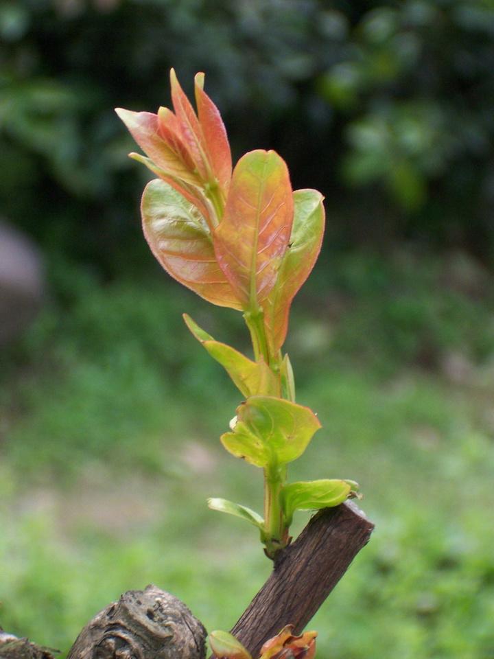 -l-ZNvqBWPw


快转给爱吃面的朋友