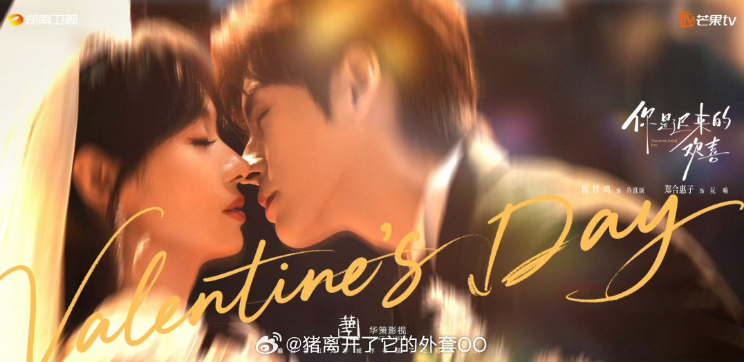 魏哲鸣、郑合惠子《你是迟来的欢喜》播前招商，预计3月在湖南卫视/芒果tv播出！