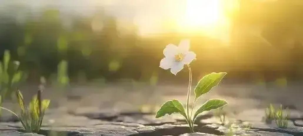 现在不少五十多岁的人退休了，日子一下子慢下来，以前忙着上班带娃，压力大得像背座山