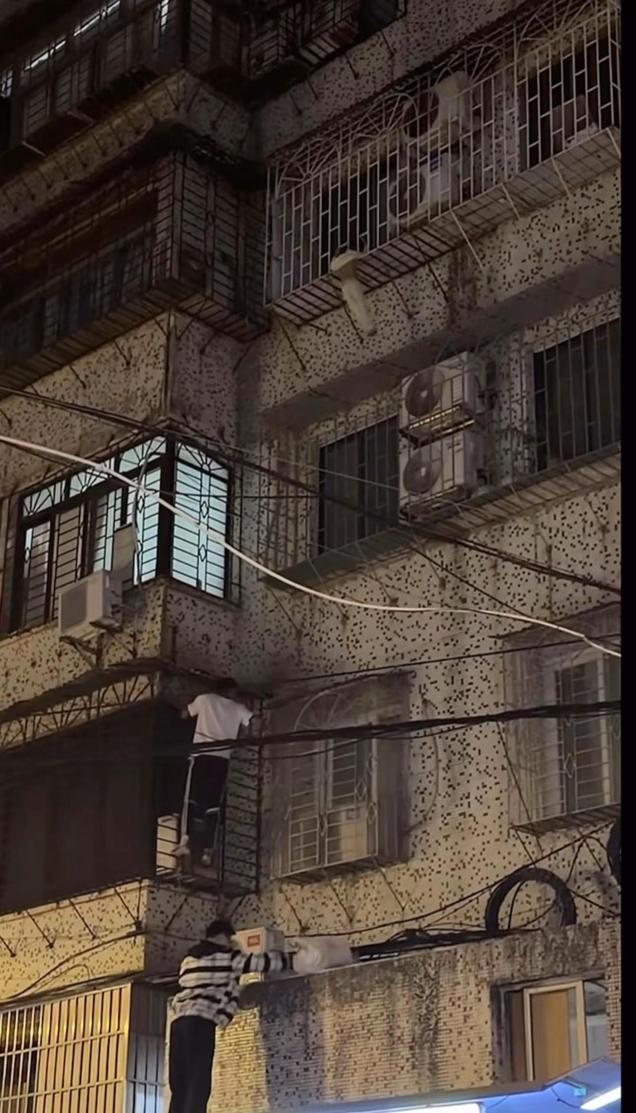 小孩哥的英雄来了