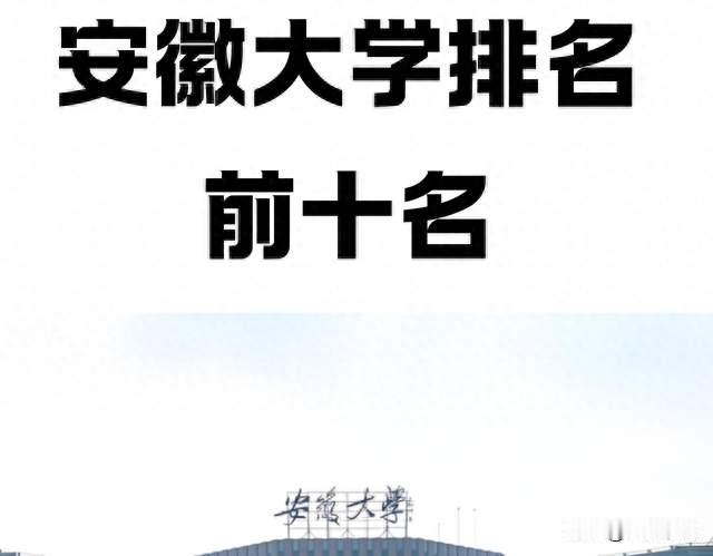 86页，实名举报985女教授出轨，男方安徽大学副校长！
