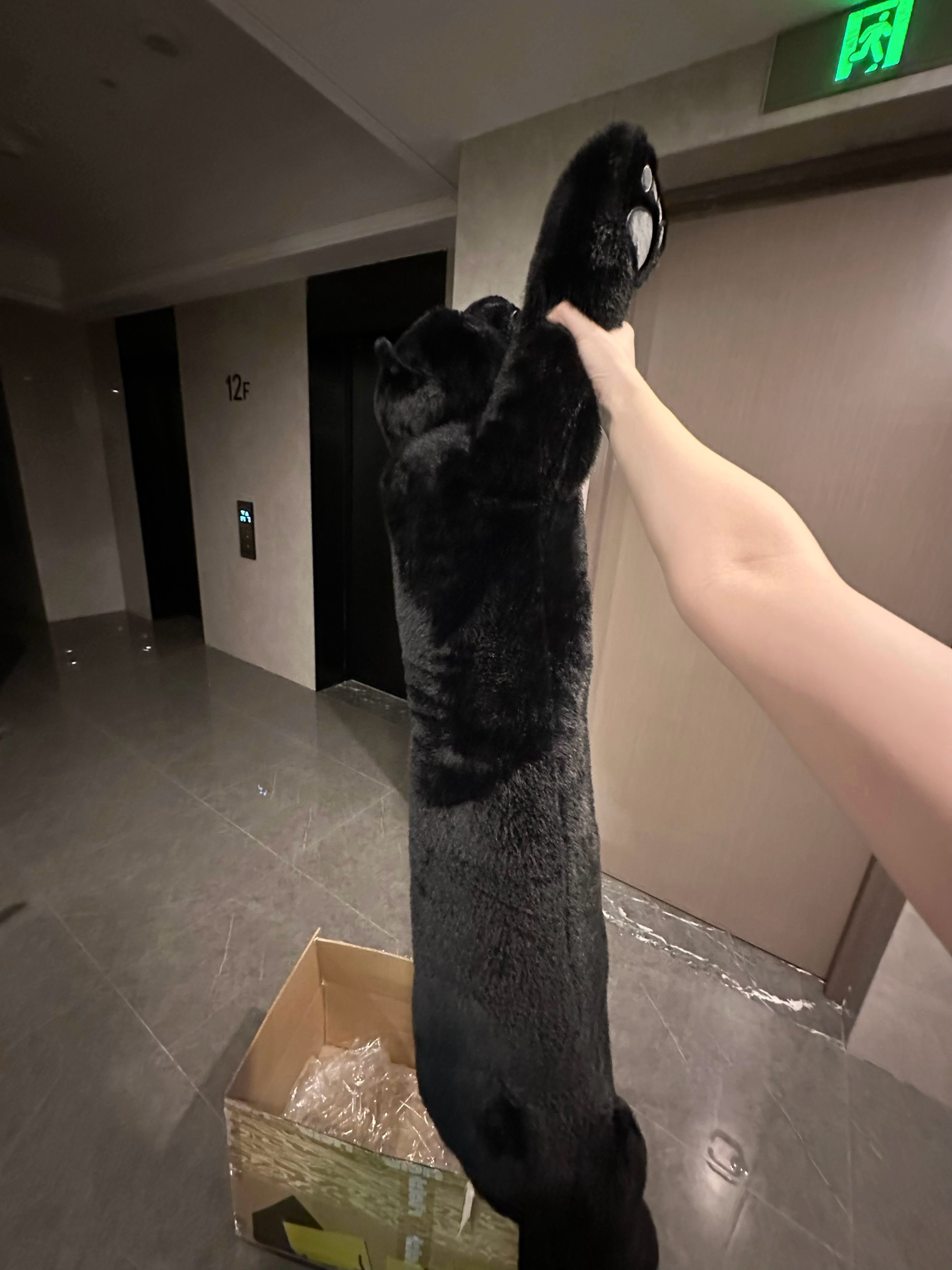 豹抱 哈哈哈哈哈哈哈哈哈哈哈哈哈哈好喜欢啊我要每天抱着它 